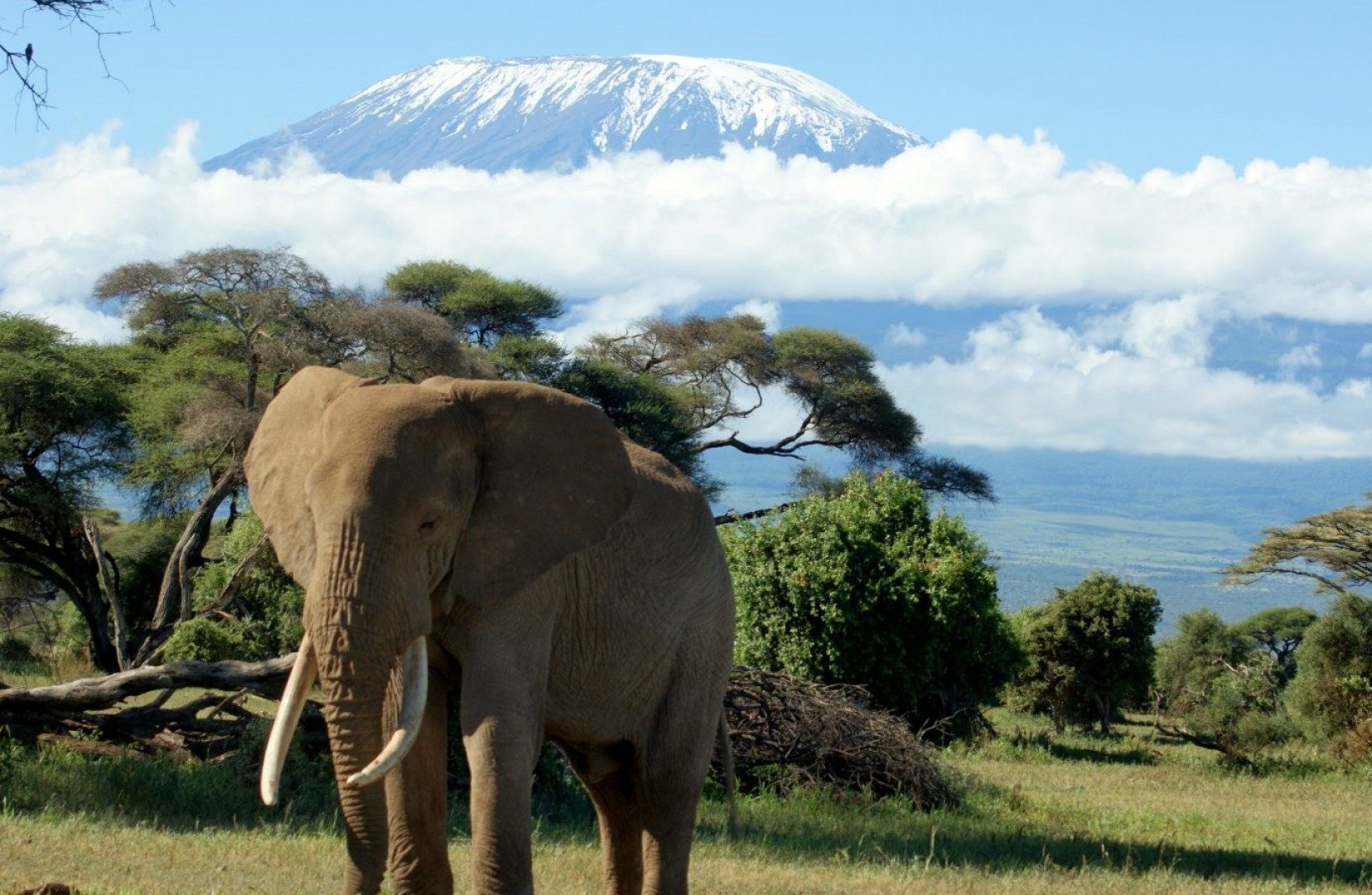 Mount-Kilimanjaro-8