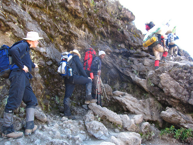 Lemosho-route-tricky-climbs-kilimanjaro_700_0