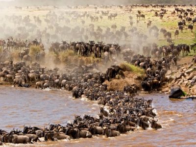 5 Days Serengeti Wildebeest Migration