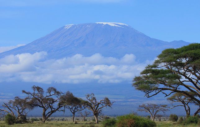 10 Days Mount Kilimanjaro Marangu Route and Wildlife Safari.