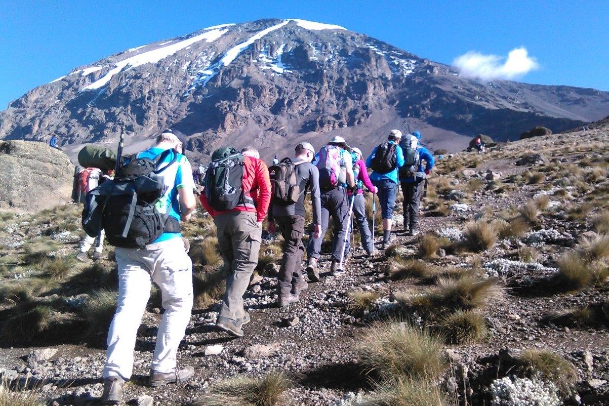 10 Day Mount Kilimanjaro Trekking and Camping Wildlife Safaris