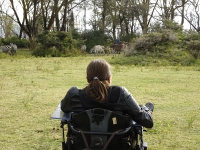 15 Day Tanzania Wheelchair Accessible Safaris