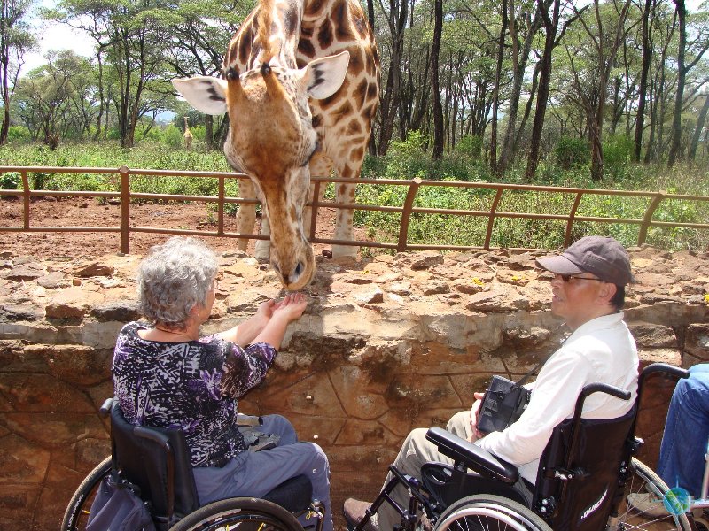 10 Day Tanzania Wheelchair Accesible Safaris