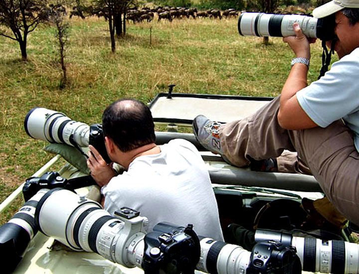9 Day Tanzania Photographic Safaris