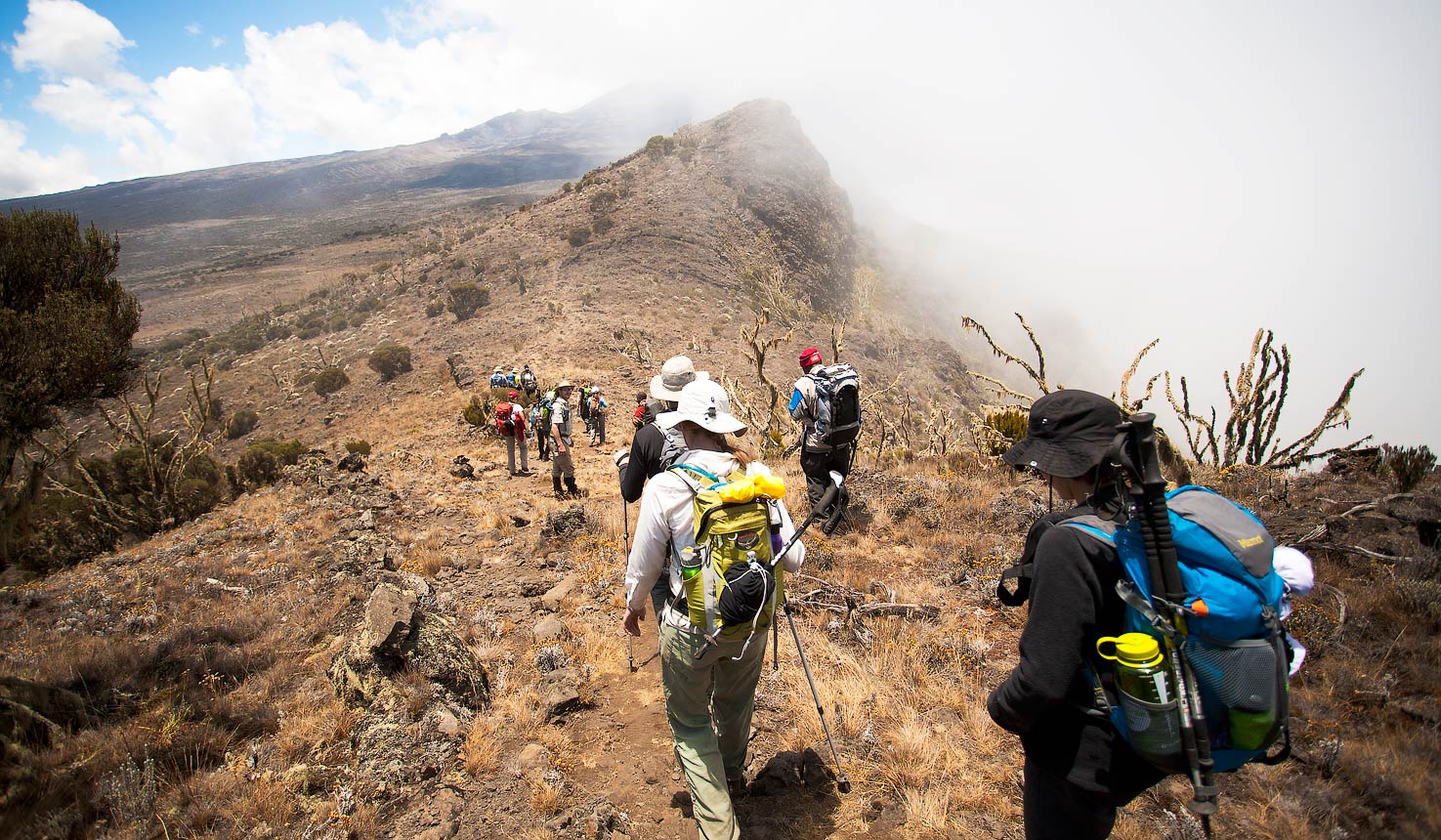Kilimanjaro-lemosho-route