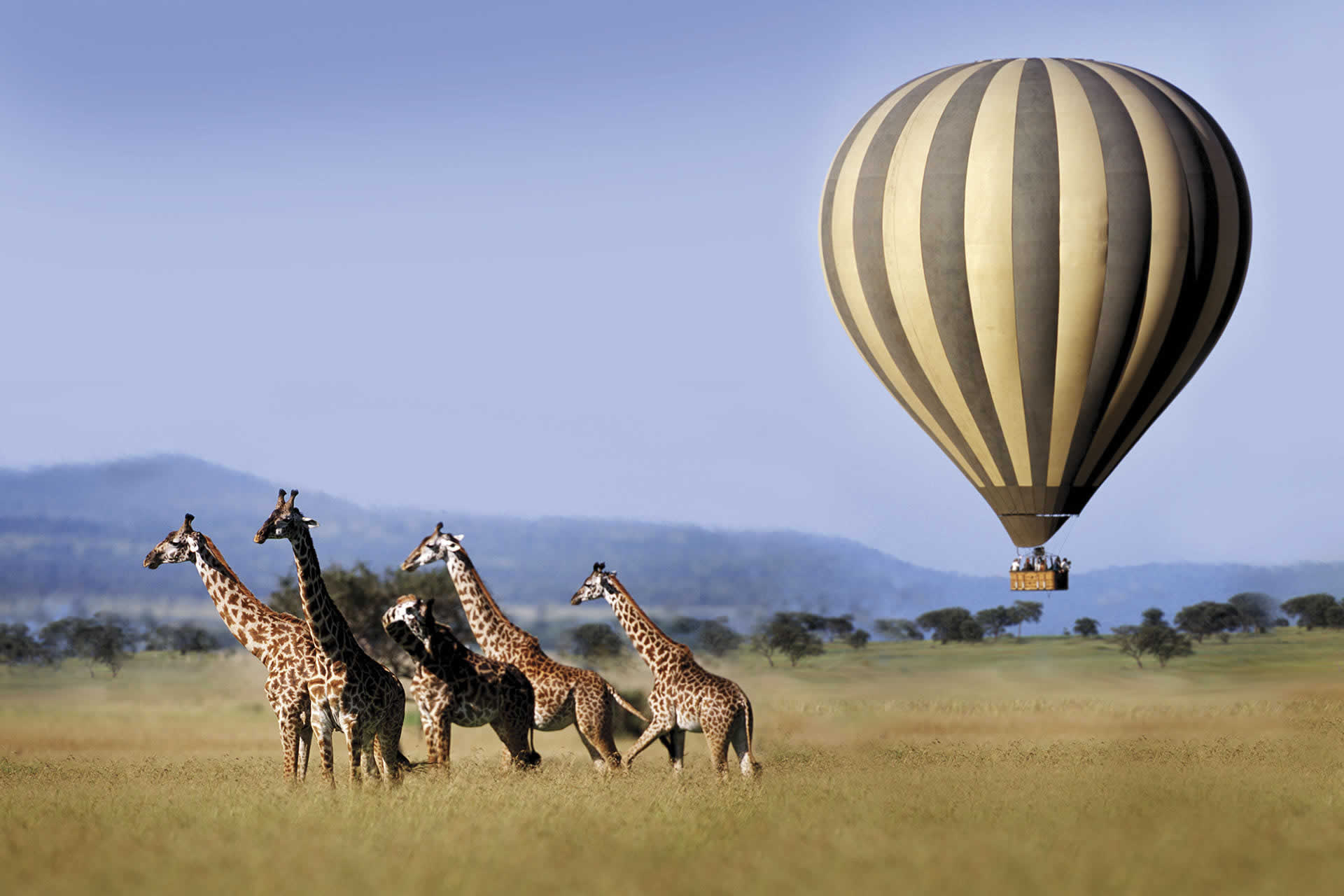 3 Days Serengeti Balloon Safari