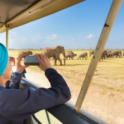 11 Days Tanzania Women Trekking And Wildlife Safari