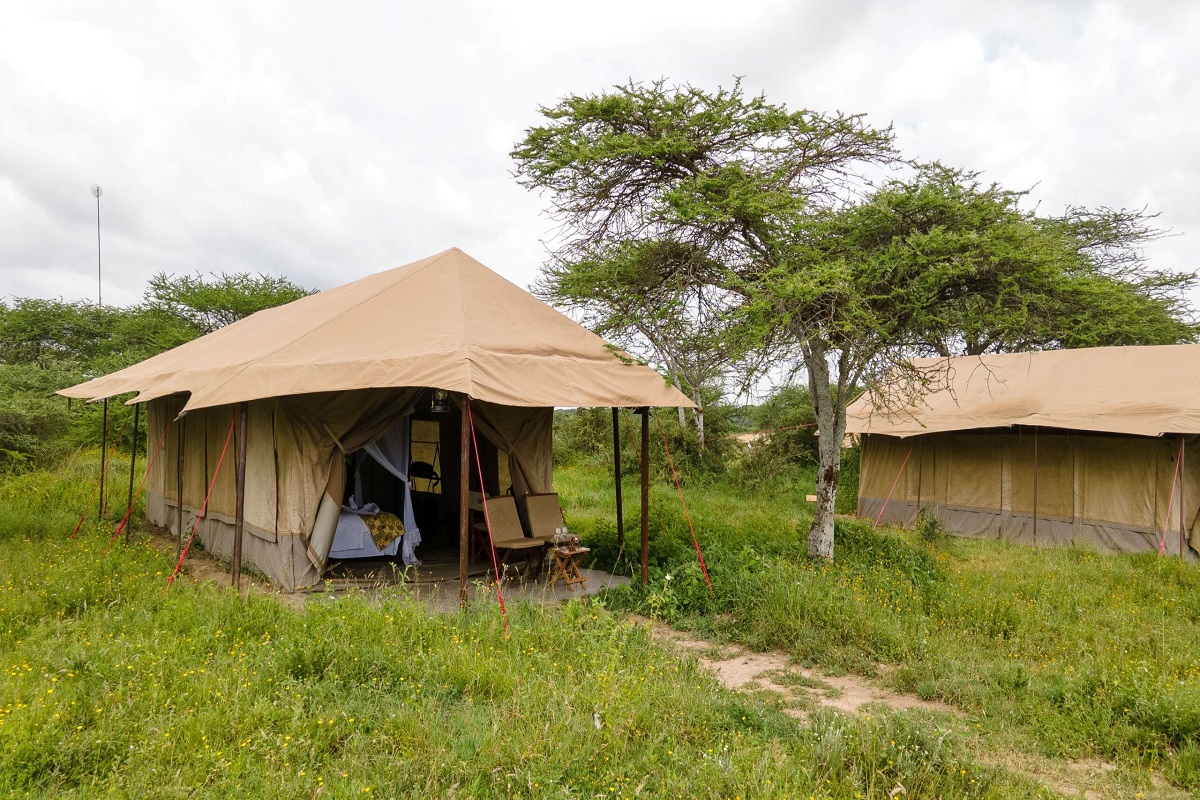 Kenzani Ndutu Camp - SILVER