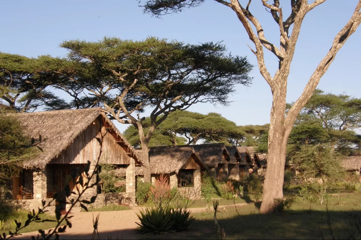 Ndutu Safari Lodge - GOLD