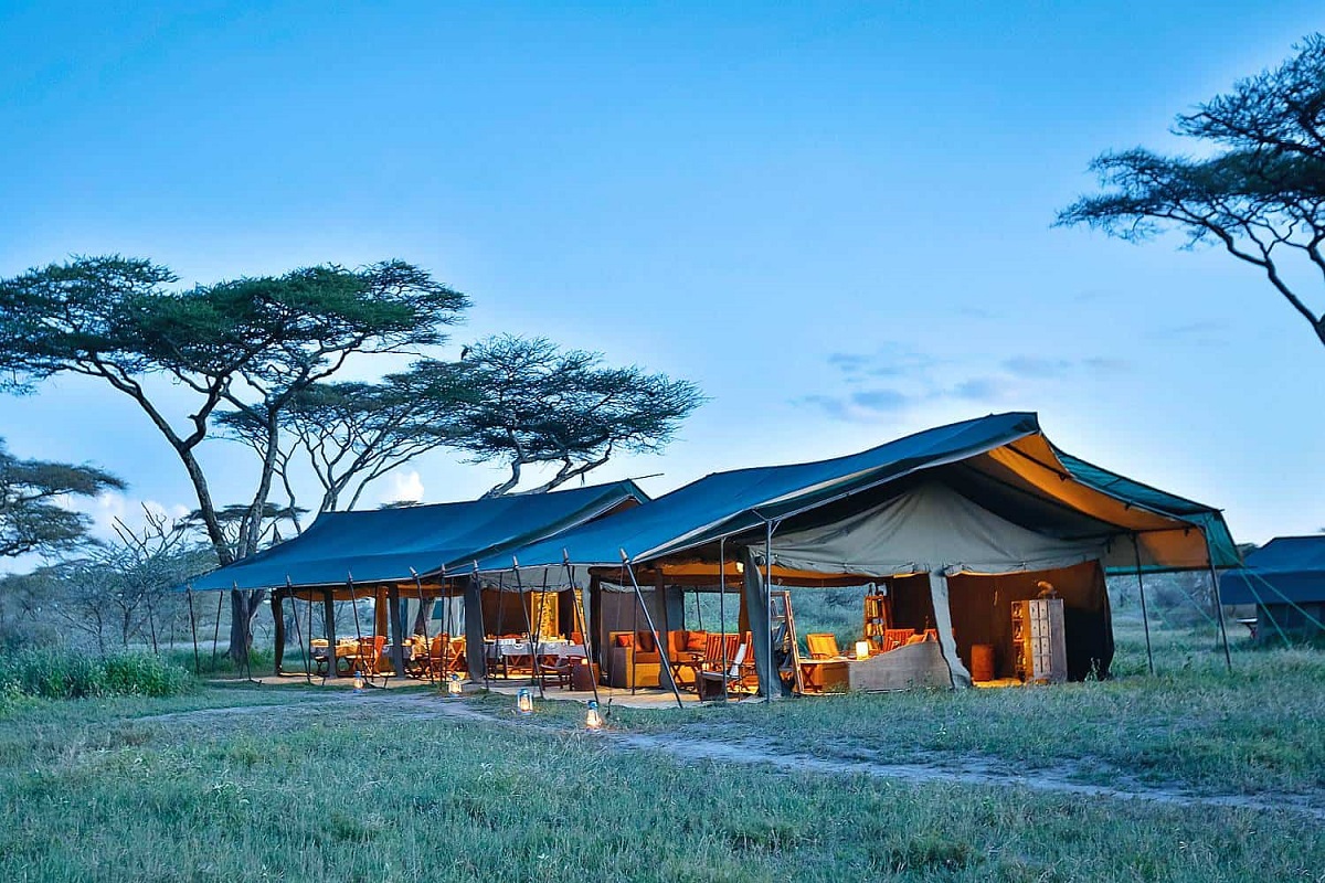 Nyikani Migration Camp - GOLD