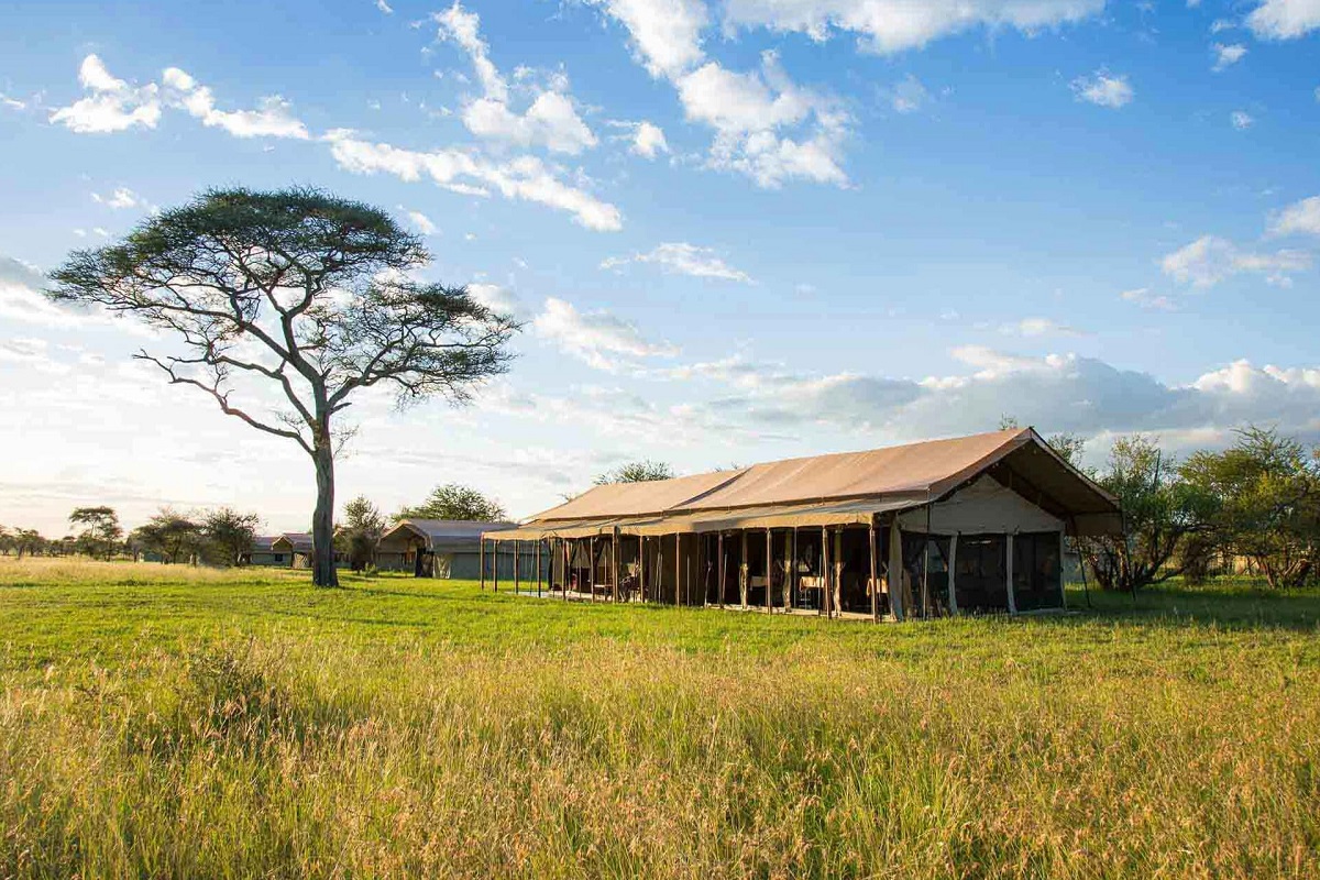Thorn Tree Lodge - SILVER