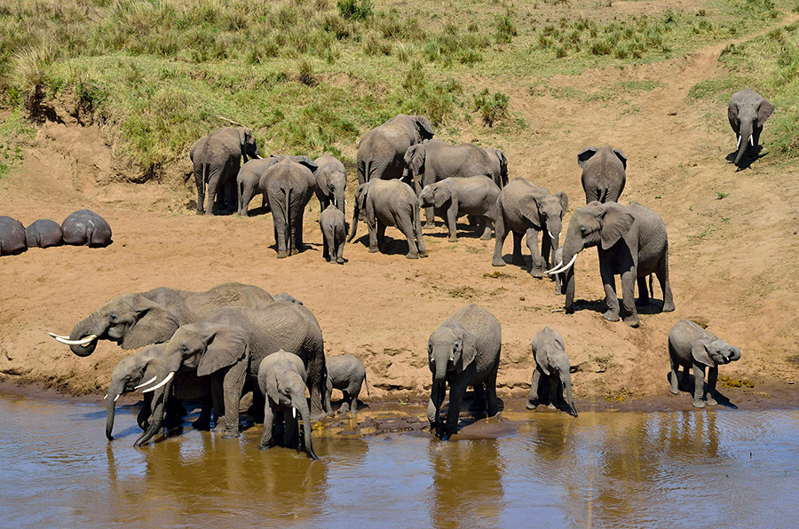 Tarangire-National-Park