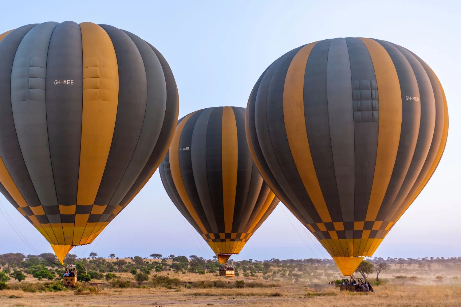 3 Balloon