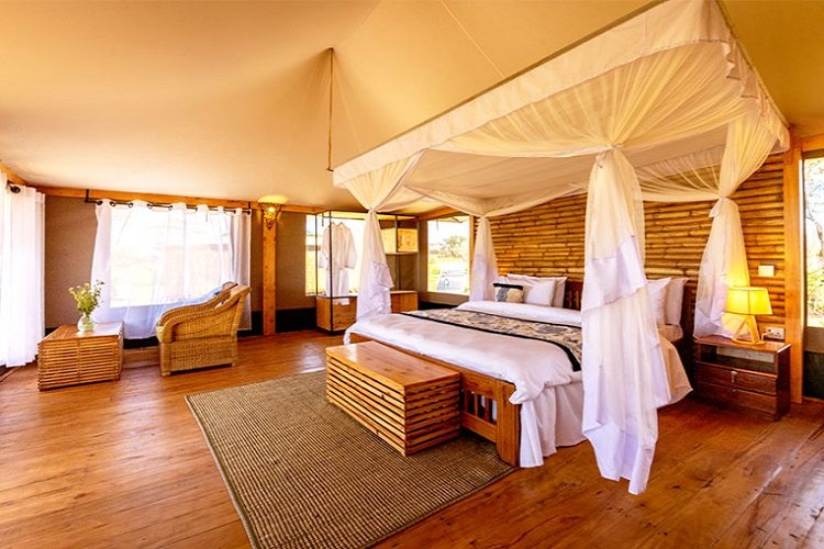 Nyota luxury Camp - PLATINUM