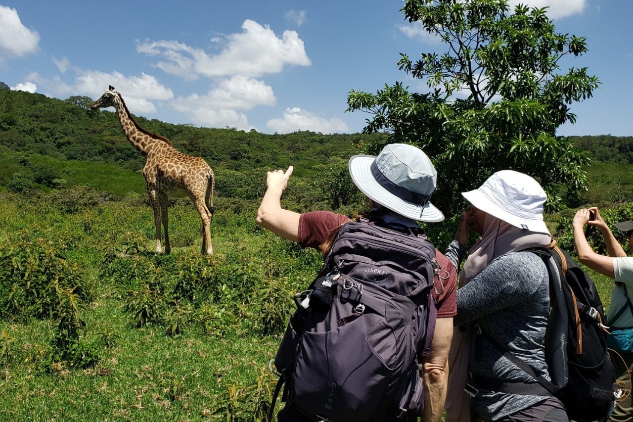 Walking Arusha