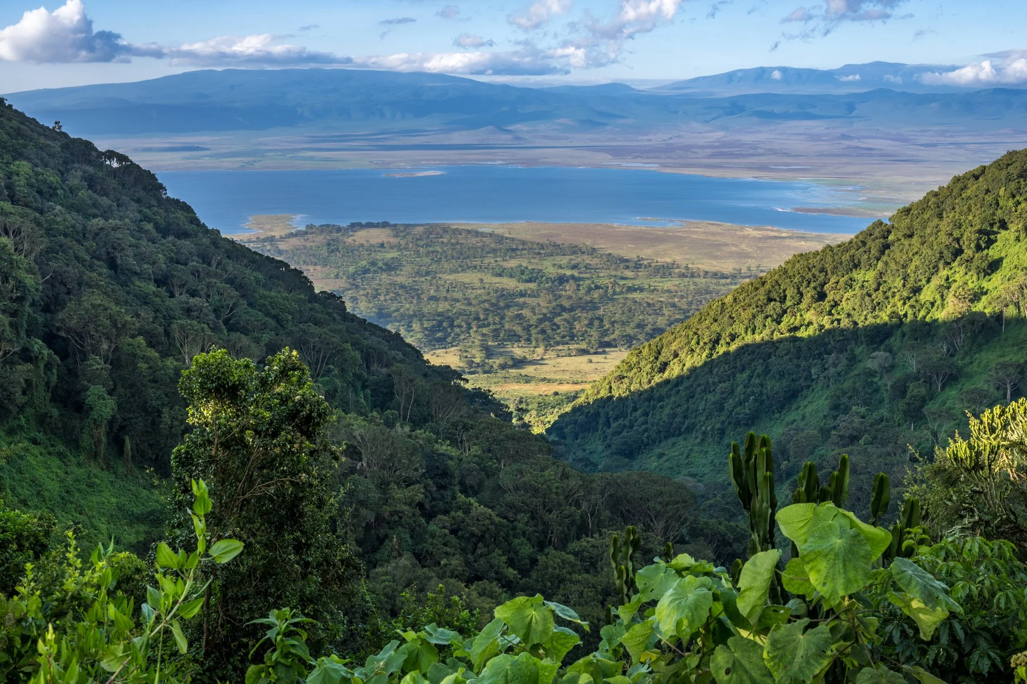 NgorongoroConservation Area